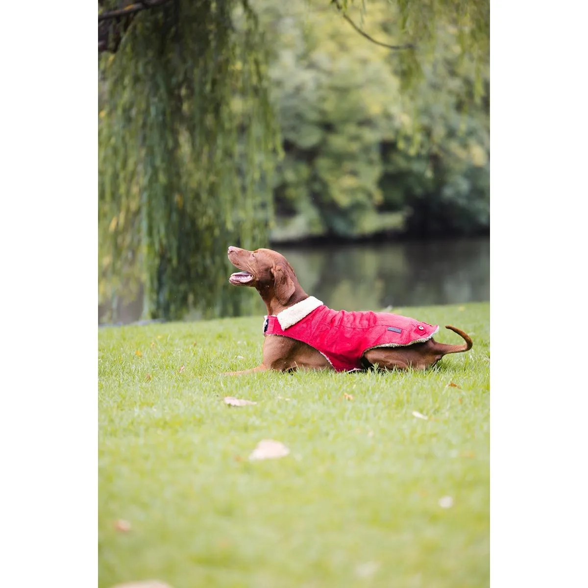 Ruff n Rugged Corduroy Dog Jacket Barn Red