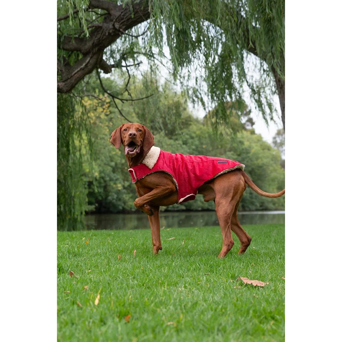 Ruff n Rugged Corduroy Dog Jacket Barn Red