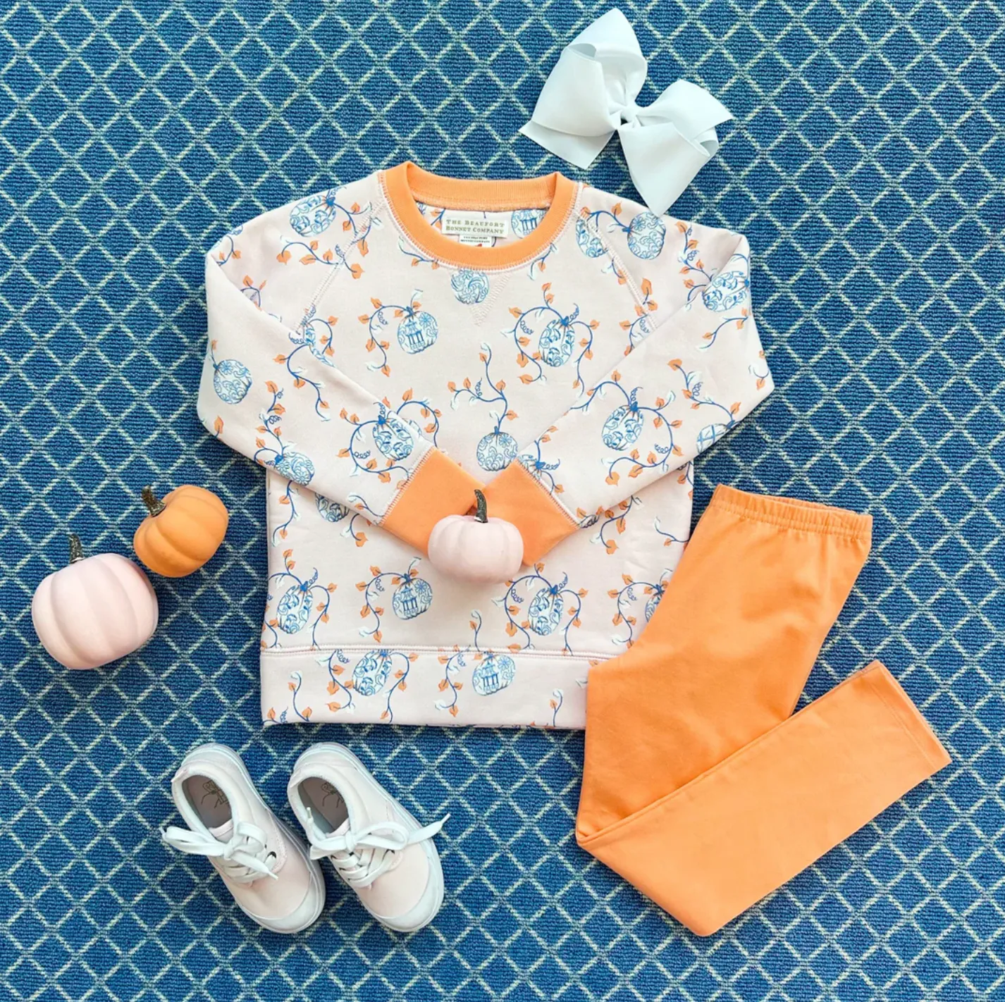 TBBC: Cassidy Comfy Crewneck Gourd-geous w/ Seashore Sherbet