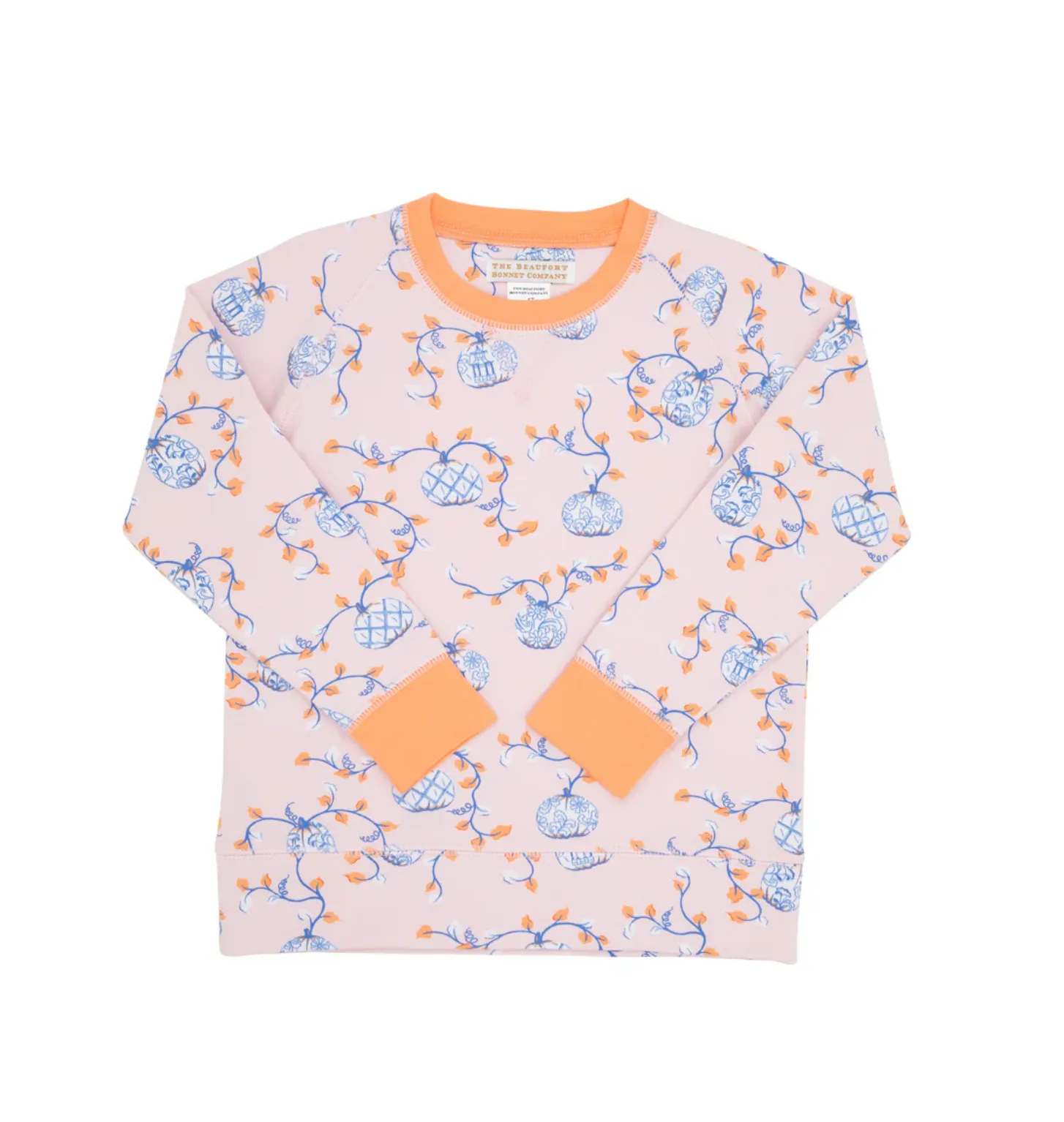 TBBC: Cassidy Comfy Crewneck Gourd-geous w/ Seashore Sherbet